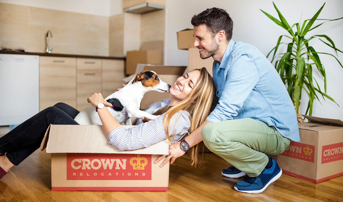 playful couple with cute dog after moving into new house