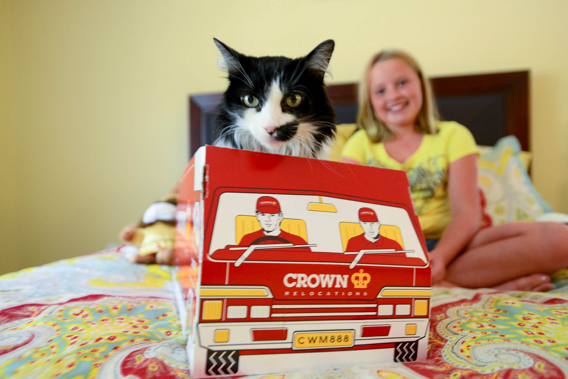 little girl sitting on the bed with fluffy cat