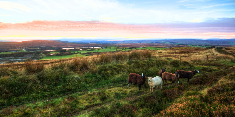 Ireland golden hour landscape